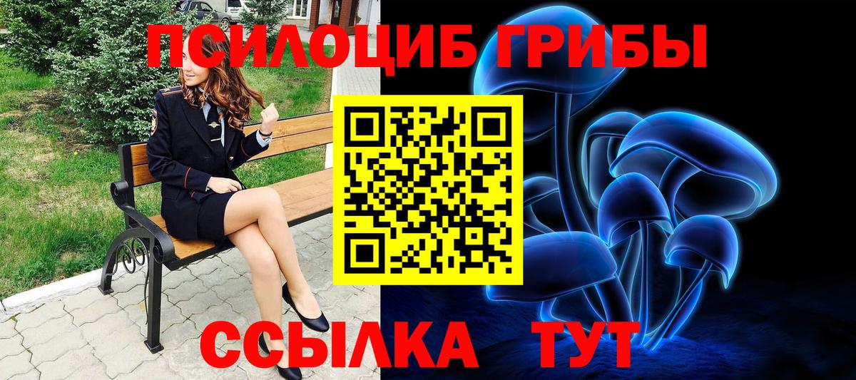 Псилоцибиновые грибы прущие грибы Малгобек