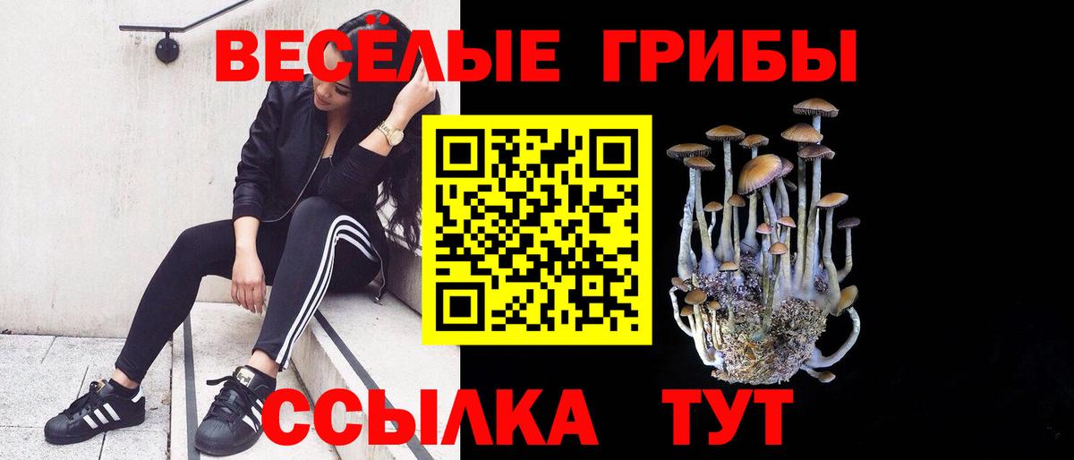 Псилоцибиновые грибы мухоморы  Вход с VPN  что такое наркотик  Малгобек 